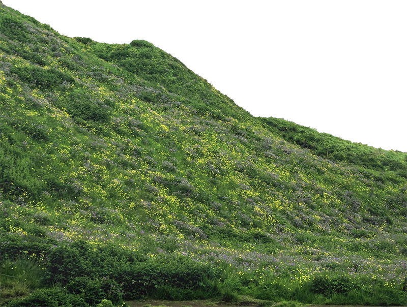 Pure Blonde Our Story